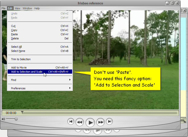 QuickTime Pro screenshot showing the add to selection and scale command in the Edit menu